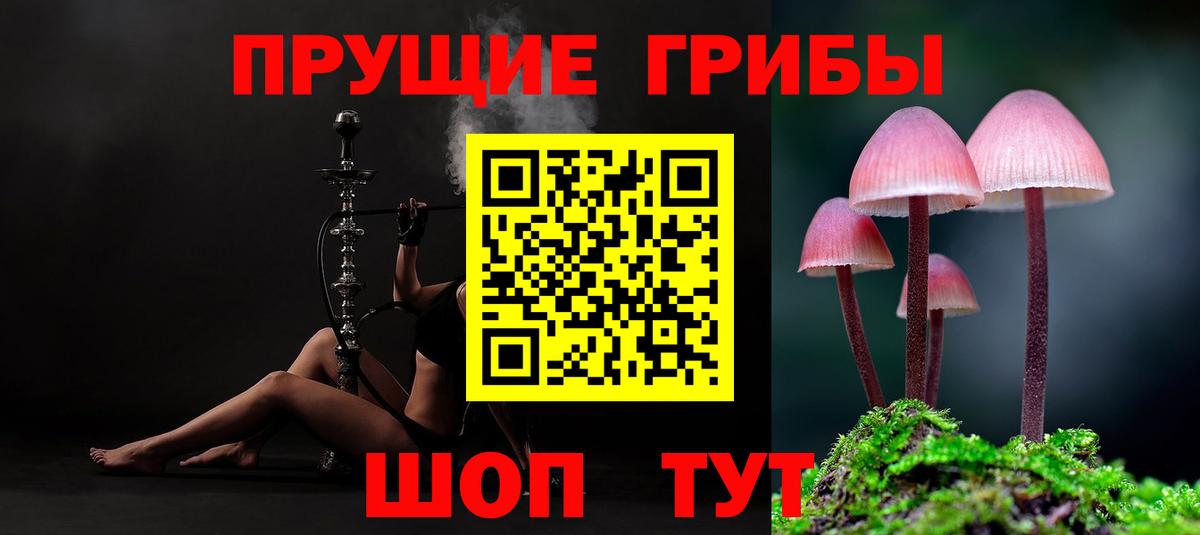Галлюциногенные грибы Psilocybe  Вход с VPN  Камышлов  Галлюциногенные грибы ЛСД 