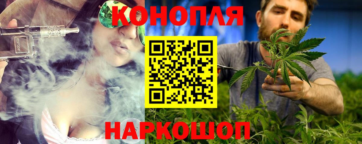 Шишки марихуана гибрид Камышлов