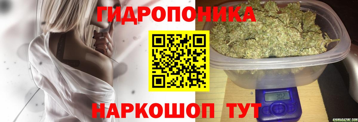 Камышлов  Бошки марихуана LSD WEED  Вход с VPN  МАРИХУАНА ГИДРОПОН  Бошки Шишки тримм  Бошки марихуана White Widow 